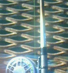 夕方からのメバル